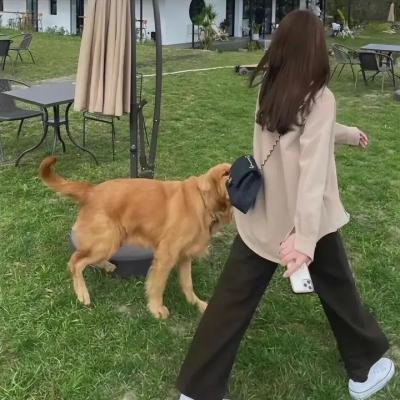 炮打双灯